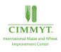 International Maize and Wheat Improvement Center (CIMMYT)