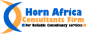 Horn Africa Consultants Firm